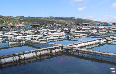 7. 海洋功能区环境状况